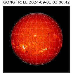 gong - 2024-09-01T03:00:42