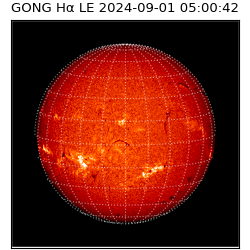gong - 2024-09-01T05:00:42