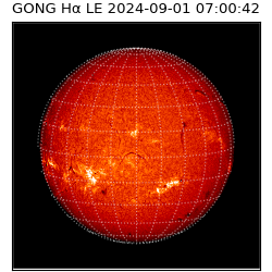 gong - 2024-09-01T07:00:42