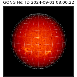 gong - 2024-09-01T08:00:22