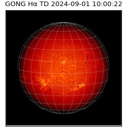 gong - 2024-09-01T10:00:22
