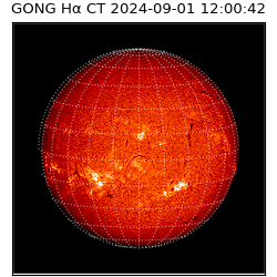 gong - 2024-09-01T12:00:42