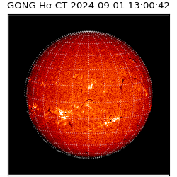 gong - 2024-09-01T13:00:42