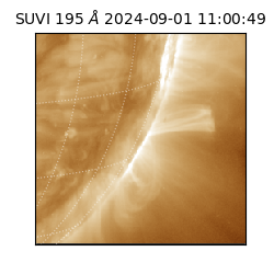 suvi - 2024-09-01T11:00:49.143000