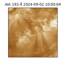 saia - 2024-09-02T10:00:04.843000