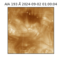 saia - 2024-09-02T01:00:04.843000