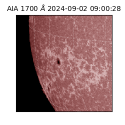 saia - 2024-09-02T09:00:28.717000