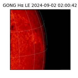 gong - 2024-09-02T02:00:42