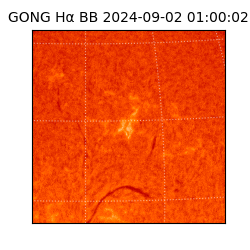 gong - 2024-09-02T01:00:02