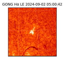 gong - 2024-09-02T05:00:42