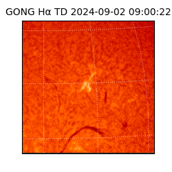 gong - 2024-09-02T09:00:22