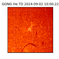 gong - 2024-09-02T10:00:22