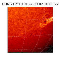 gong - 2024-09-02T10:00:22