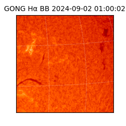 gong - 2024-09-02T01:00:02