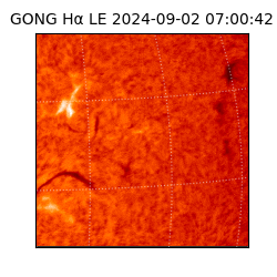 gong - 2024-09-02T07:00:42