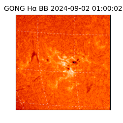 gong - 2024-09-02T01:00:02