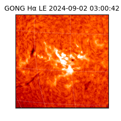 gong - 2024-09-02T03:00:42