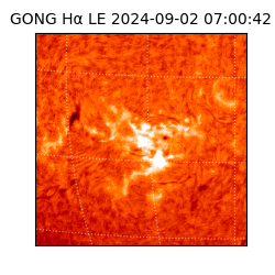 gong - 2024-09-02T07:00:42