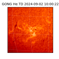 gong - 2024-09-02T10:00:22