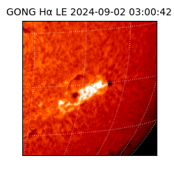 gong - 2024-09-02T03:00:42