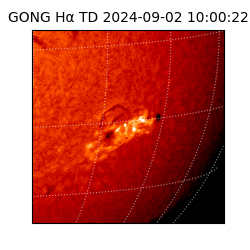 gong - 2024-09-02T10:00:22
