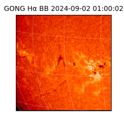 gong - 2024-09-02T01:00:02