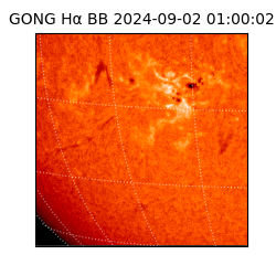 gong - 2024-09-02T01:00:02