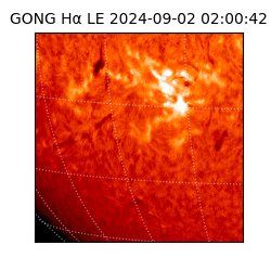 gong - 2024-09-02T02:00:42
