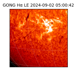 gong - 2024-09-02T05:00:42