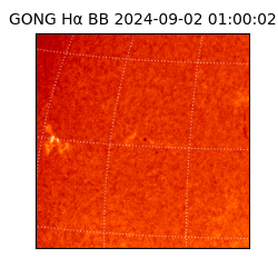 gong - 2024-09-02T01:00:02