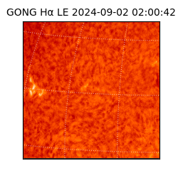 gong - 2024-09-02T02:00:42