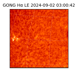 gong - 2024-09-02T03:00:42