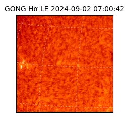 gong - 2024-09-02T07:00:42