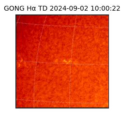 gong - 2024-09-02T10:00:22