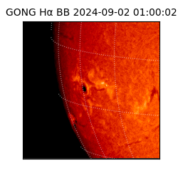 gong - 2024-09-02T01:00:02