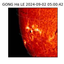 gong - 2024-09-02T05:00:42