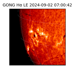 gong - 2024-09-02T07:00:42