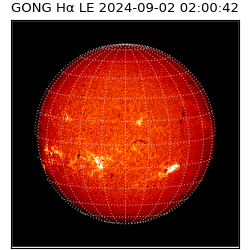 gong - 2024-09-02T02:00:42