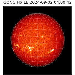 gong - 2024-09-02T04:00:42