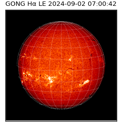 gong - 2024-09-02T07:00:42
