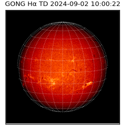 gong - 2024-09-02T10:00:22