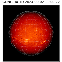 gong - 2024-09-02T11:00:22