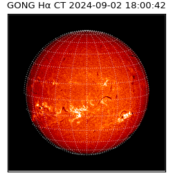 gong - 2024-09-02T18:00:42