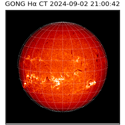 gong - 2024-09-02T21:00:42