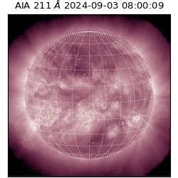 saia - 2024-09-03T08:00:09.633000