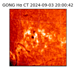 gong - 2024-09-03T20:00:42