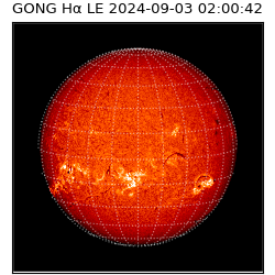 gong - 2024-09-03T02:00:42