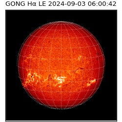 gong - 2024-09-03T06:00:42