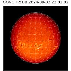 gong - 2024-09-03T22:01:02