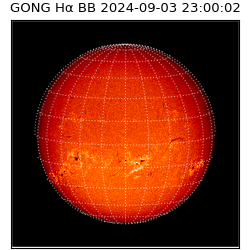 gong - 2024-09-03T23:00:02